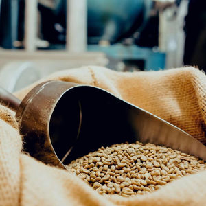 Granos de Café Robusta Tostados de Vietnam, Tamaño 16, con Certificación USDA, Alta Calidad, Exportación a Granel - Product Image 5