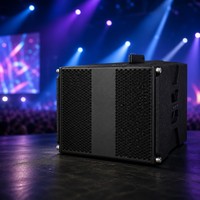 XUNGUAN AM-115 Haut-parleur de scène professionnel passif PA, enceinte en contreplaqué de bouleau avec revêtement en polyuréthane pour spectacles en direct