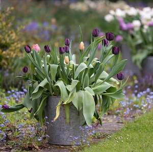 Home Craft Exports jardinière rectangulaire moderne en métal galvanisé Jardinière ronde décorative de salon pour pot de décoration intérieure - Product Image 5