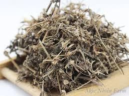 VietNam Canned/Preserved Grass Jelly Topping for Milk Bubble Sea|OEM Packaging - Product Image 3