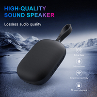 Haut-parleur audio Bluetooth portable avec éclairage RGB, radio FM, lecteur de carte TF, étanche, sans fil, pour extérieur