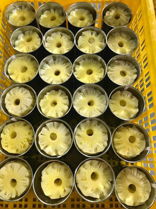 ANNEAUX D'ANANAS EN CONSERVE EN USINE DU VIETNAM DE HAUTE QUALITÉ DANS UN SIROP LÉGER-PARFAIT POUR LES SALADES ET LES DESSERTS - Product Image 5