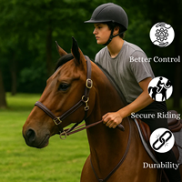 Harnais en cuir de qualité supérieure avec ferrures en laiton, durable et élégant, pour l'entraînement des chevaux, l'équitation anglaise, l'écurie et les concours, taille personnalisable