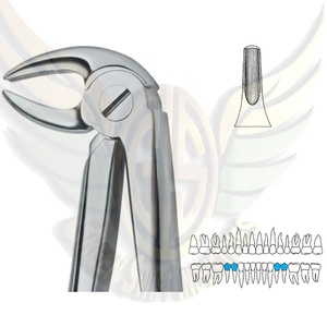 Alicates de Corte Distal Ortodontico de Acero Inoxidable de Alta Calidad SOLO POR GREEN SWIFT INDUSTRIES - Product Image 6