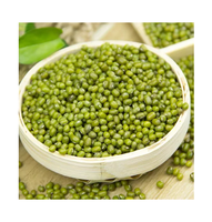 Mejor Precio en Frijoles Mung Verdes / Frijoles Moong Enteros, Disponibles en Grandes Cantidades con Empaque Personalizado