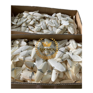 Os de seiche séché au soleil très propre et blanc avec crochet en métal Nutrition pour animaux de compagnie Quantité en vrac Prix bon marché pour les propriétaires d'oiseaux - Product Image 1