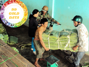 ใบตองสดแช่แข็งจากเวียดนาม | ทำความสะอาดและตัดแต่งอย่างถูกสุขลักษณะ | เหมาะสำหรับการห่อย่างและอาหารเอเชียแท้ๆ - Product Image 4