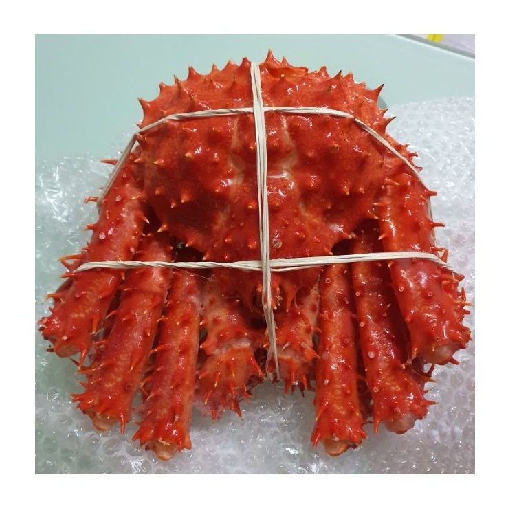 Дешевая цена, оптовая продажа, живой красный краб для продажи оптом с быстрой доставкой