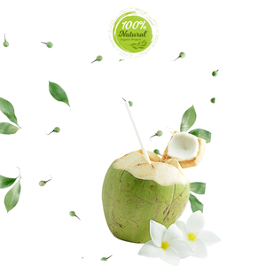 Hidratación de coco fresco vietnamita de los trópicos Producto agrícola Premium - Product Image 3