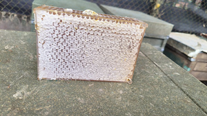 เค้กน้ำผึ้งแสนอร่อยอาหารว่างที่สมบูรณ์แบบสำหรับเวลาน้ำชาหรือช่วงพักกาแฟ - Product Image 2