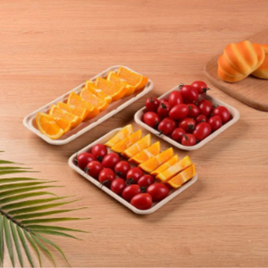 Vente en gros élégant plateau intelligent 2D design rectangle écologique fait bagasse de canne à sucre pour hôtels événements voyage camping - Product Image 5