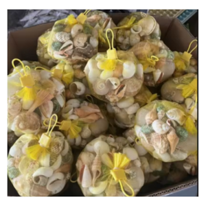 Real Ocean Shell Mix para manualidades hechas a mano, arte de resina y decoración del hogar - Product Image 4