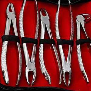 Kit de 10 Fórceps para Extracción Dental, Acero Inoxidable, Herramientas Dentales para Adultos, Instrumentos de Cirugía Ortodóncica, Más Vendido - Product Image 4