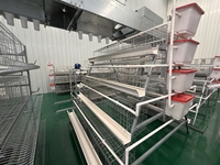 Nouveau système de cages automatiques à 3 ou 4 niveaux pour poules pondeuses – Équipement avicole en batterie pour une production d'œufs optimisée et un gain de place