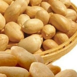 Arachides salées frites de qualité, approvisionnement en vrac en sacs pour les industries de la confiserie et des snacks - Product Image 1