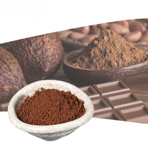 Industrial Food Grade Roasted Cocoa Powder Natural for Chocolate Ice Cream and Beverage Production - Product Image 2