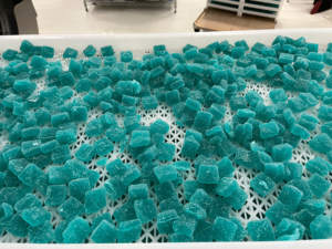 TGMachine2024 machine de dépôt de bonbons gommeux entièrement automatique avec ce ligne de production de vitamines d'ours gommeux nouvellement conçue - Product Image 3