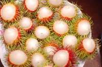 Pasokan Buah Rambutan Beku Murah/ Rambutan Beku Grosir Ms Sophie