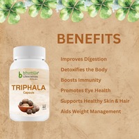 Gmp Gecertificeerde Triphala Capsules Ayurvedische Formule | Bulkvoorraad En Aangepaste Branding | Ayurvedisch Product