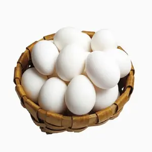 신선한 품질 다크 브라운 신선한 테이블 닭고기 계란