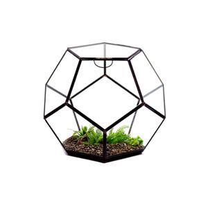 GET1209BK - Terrario Geométrico de Vidrio en Forma de Dodecaedro Prisma Negro Mediano - 7.5H - Product Image 6