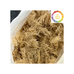 Algues Eucheuma Cottonii séchées au soleil propres et naturelles pour usage industriel et traitement - Product Image 3