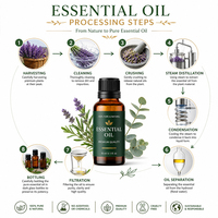 Huile d'ail pure OEM 100% naturelle, huile essentielle d'Allium Sativum pour les soins de la peau, vente en gros, huile en vrac, étiquette privée, usine d'huiles
