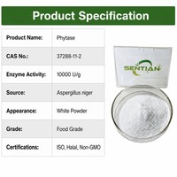 Poudre d'enzyme phytase de qualité alimentaire 10000 U/g pour l'alimentation des volailles et des porcs