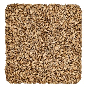 ธัญพืชจากแหล่งผลิตเบียร์ที่อุดมไปด้วยโปรตีนและเส้นใยสำหรับการให้อาหารปศุสัตว์ - Product Image 4