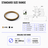 Joint d'étanchéité JPT2 à faible friction en PTFE et bronze, double joint torique, grattoir à double lèvre pour tige, résistant à l'usure, pour cylindre hydraulique, joint anti-poussière