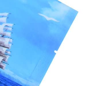 Glossy Flat Pouch with <b>Clear</b> Window for Dried Seafood Packaging Designed for Retail Sales and Export Distribution Vietnam - Product Image 2