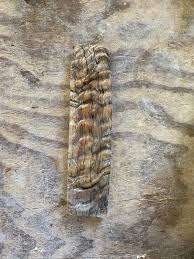 BoneScale Escala de cuerno Cuerno de búfalo Escala de hueso de camello para escalas de mango de cuchillo Mejor calidad Mayorista más bajo de la India - Product Image 2