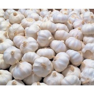 New Season Best Selling Superior Quality <b>Fresh</b> Vegetable <b>Fresh</b> Red/ White <b>Garlic</b> Onion Potato Wholesale Supplier - Product Image 2