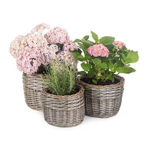 Grande jardinière ronde en osier antique de luxe, pot de fleur d'extérieur auto-arrosant, matériel de saule géant pour le jardinage domestique - Product Image 1