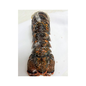 Langosta congelada al por mayor, suministro a granel, precio de fábrica, calidad de exportación, entrega rápida - Product Image 3