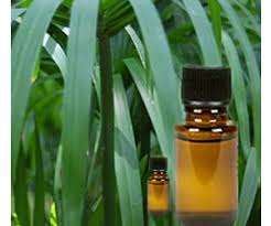 Huile essentielle de cypriol 100% pur Vente en gros Huile essentielle de cypriol en vrac Huile de cypriol naturelle et pure - Product Image 3