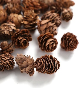 Pinecone Natural en precio al por mayor Pinecone Decoración navideña para decoración de habitaciones y fiestas - Product Image 1