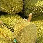 ลิ้มรสความกลมกล่อมของทุกชิ้นของทุเรียนมอธงเกรดเอสดี สดใหม่ กลิ่นหอมเข้มข้น สำหรับทุกคนที่ชื่นชอบทุเรียน - Product Image 4