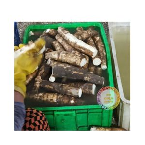 มันสำปะหลังแช่แข็งและปอกเปลือกมันสำปะหลังในถุงดูดฝุ่น-พร้อมส่ง Manioc แช่แข็งขายดีที่สุด - Product Image 1