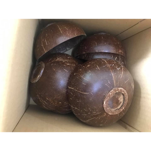 ชามกะลามะพร้าวแบบยั่งยืนสำหรับรับประทานอาหารหรือใช้ตกแต่งเพิ่มบรรยากาศแบบเขตร้อนให้กับห้องครัวหรือห้องนั่งเล่นของคุณ - Product Image 1