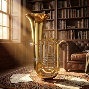 <span class=keywords><strong>Tuba</strong></span> a Cilindri in Sib a 4 Valvole con Finitura Laccata Oro (TU9913) - Product Image 4
