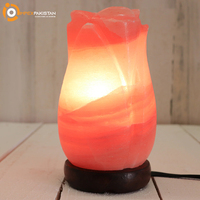 Lampe à fleurs en sel rose de l'Himalaya pour la décoration de la maison - Haute qualité