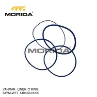 Junta de Culata 6AYM-WET para YANMAR 14862013250