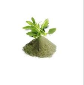 Andrographis Paniculate du fabricant professionnel extrait de poudre de feuille de Kalmagh sèche 100% bouteille naturelle pure vente en gros en vrac - Product Image 1