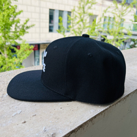 Gorra Snapback plana con logotipo bordado en 3D personalizado, gorra Snapback de baloncesto ajustada de algodón negro con espalda cerrada de 6 paneles para pesca