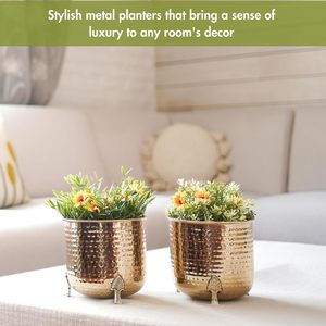 Maceta Perfection Macter puede transformar sus plantas, planta de amor, elevando su vegetación con macetas elegantes - Product Image 5