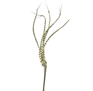 Feuille de palmier à cinq doigts de qualité supérieure pour la décoration de mariage, la fête des pères, Halloween, la maison, le bureau - Fleur séchée écologique pour l'intérieur/l'extérieur - Product Image 1