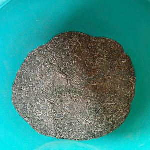 Polvo de Hojas de hierba gatera Natural de seguridad al por mayor/juguete interactivo de hierba gatera seca en Vietnam HOANG LINH SG Kimy + 84938616690 - Product Image 4