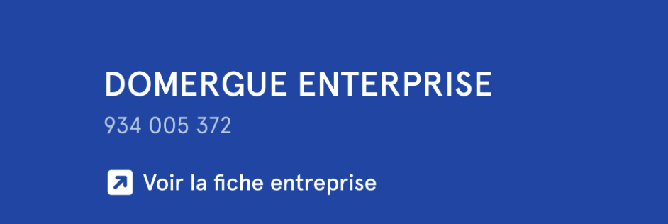 Domergue Enterprise logo