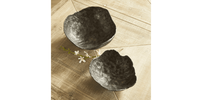 Juego de Esculturas Decorativas Modernas de Aluminio Orgánico, Recubrimiento en Polvo, Color Personalizable, Paquete Multipieza, Flor de Metal